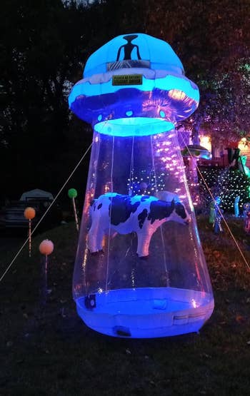 the inflatable UFO with a cow inside