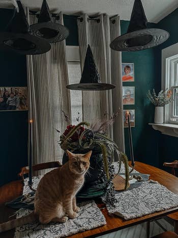 Cat sits on a dining table decorated with Halloween-themed centerpieces and floating witch hats in a cozy dining room