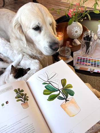 Dog resting next to an open plant illustration book on a table with art supplies, hinting at a relaxing and creative setting