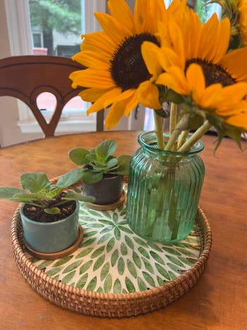Sunflowers in a textured green glass vase and two small potted plants arranged on a leafy-patterned tray on a wooden table