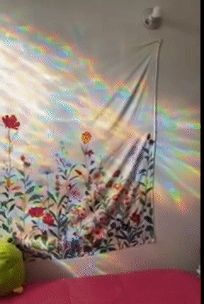 A reviewer showing rainbows refracting on their wall from the film