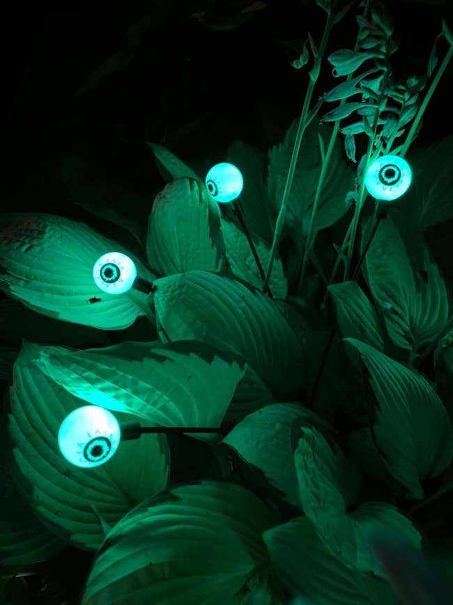 Close-up of several glowing eye garden lights set among large plant leaves