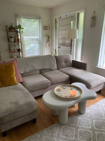 A cozy living room with a gray sectional sofa, throw pillows, a white coffee table with a candle, and plants on a shelf and hanging by the window
